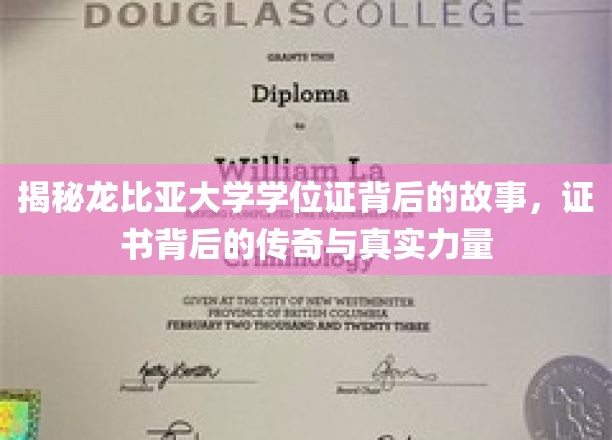 龙比亚大学学位证之谜，探寻证书背后的传奇力量与真实故事