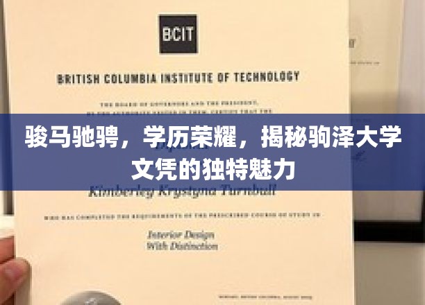 骏马腾飞，学历光彩，探寻驹泽大学文凭的非凡魅力