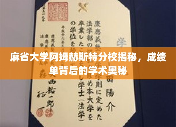 探寻麻省大学阿姆赫斯特分校成绩单背后的学术传奇