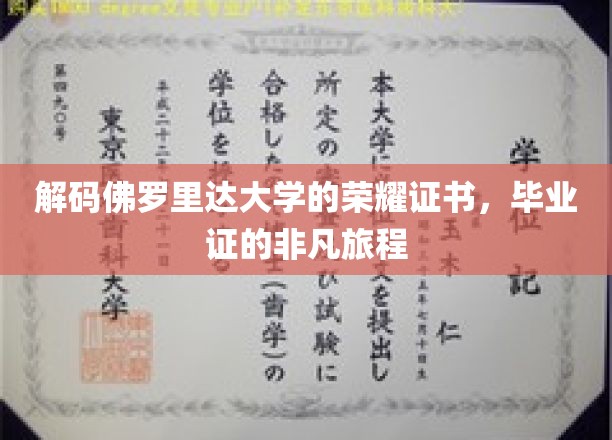 佛罗里达大学荣誉证书：见证非凡学术旅程