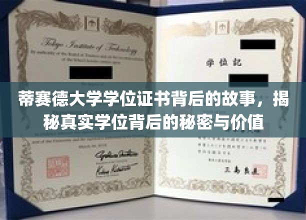 探寻蒂赛德大学学位证书的深层价值与神秘面纱