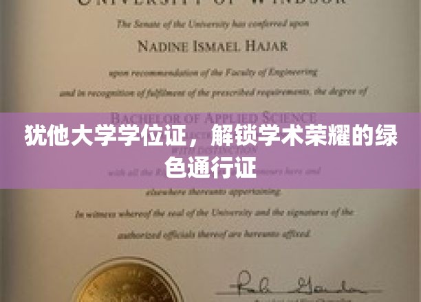 犹他大学绿卡，学位证书背后的学术荣耀之路