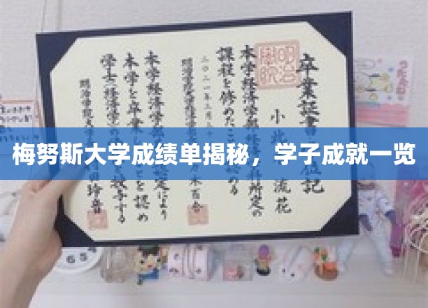 梅努斯精英档案，一睹学子卓越成就风采