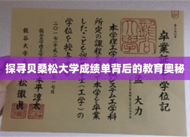 解码贝桑松大学成绩单，揭秘教育界的神秘力量