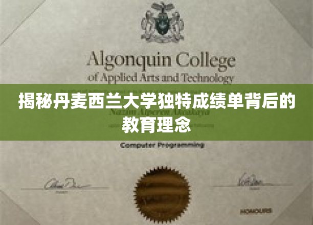 揭秘丹麦西兰大学独特成绩单背后的教育理念