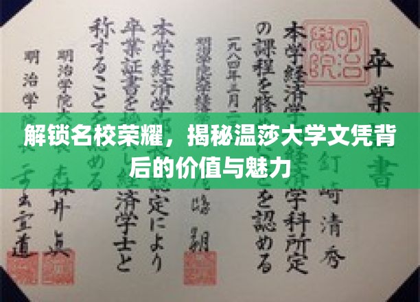 温莎大学文凭，探索名校光环下的价值密码