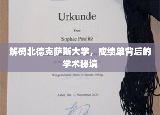 探索北德克萨斯大学，揭开隐藏在成绩单背后的学术奥秘