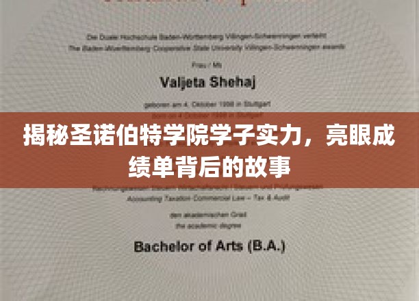 解码圣诺伯特精英传奇，揭秘学子卓越成就背后的青春足迹