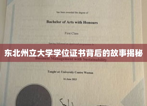 东北州立大学学位证书背后的故事揭秘
