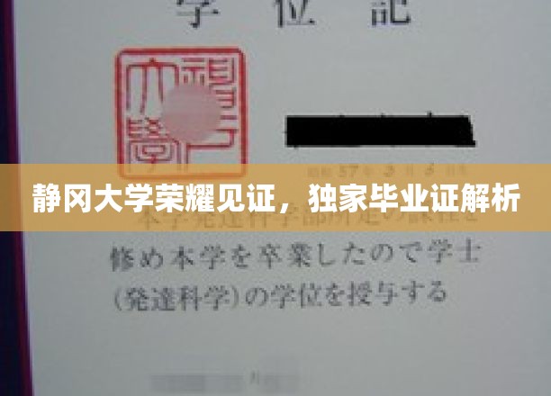 静冈大学独家揭秘，毕业证书背后的荣耀故事
