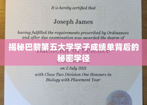 解码巴黎第五大学学霸养成记，揭秘学业巅峰之路