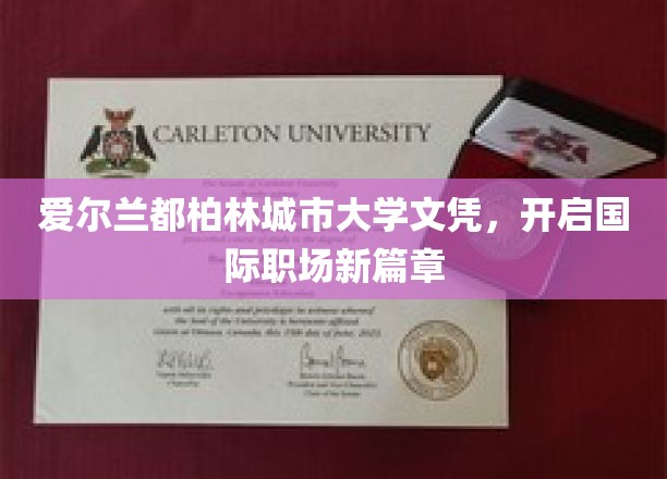 都柏林城市大学文凭，助力全球职场梦想起航