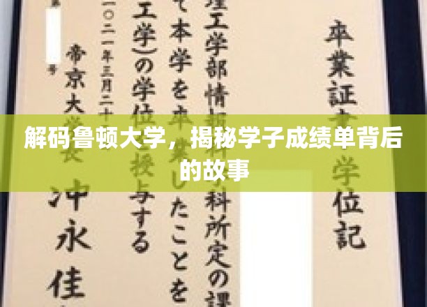鲁顿大学学霸养成记，揭开成绩单背后的精彩篇章