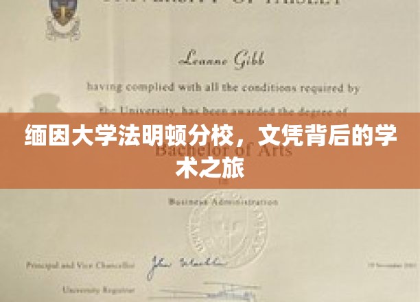 探索缅因大学法明顿分校，学术旅程中的文凭之光
