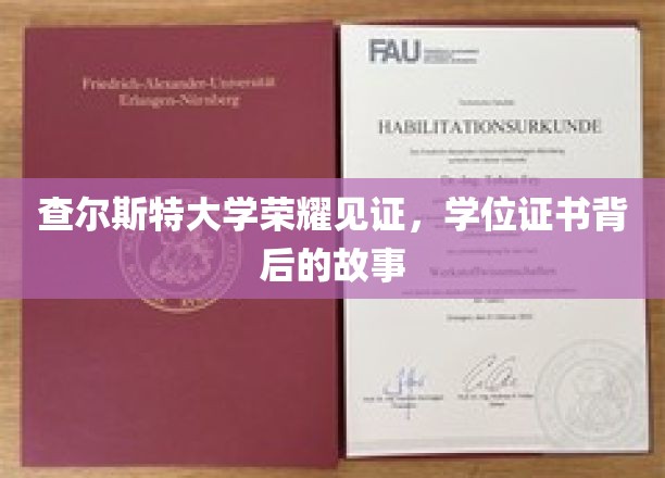 查尔斯特荣耀瞬间，揭秘学位证书背后的非凡历程