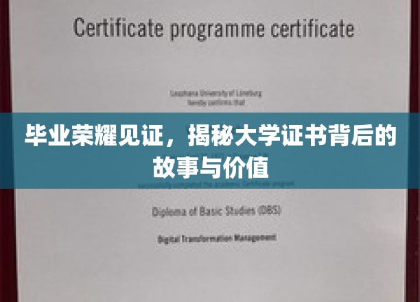青春印记，揭秘大学证书的荣耀之旅与深远意义