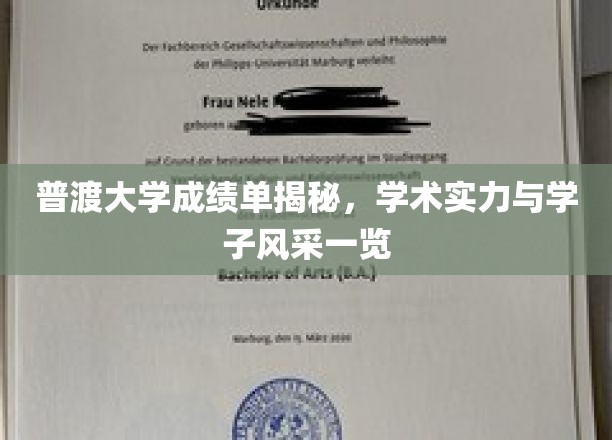 普渡风云，揭秘学霸风采，一窥顶尖学府学术魅力