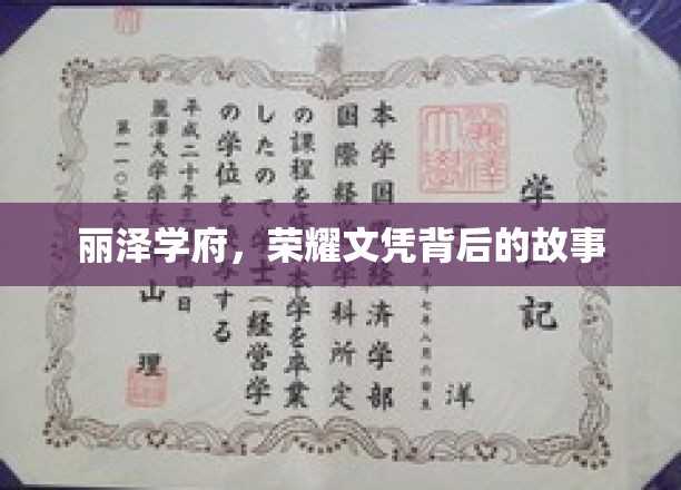 学府荣耀，丽泽学府文凭背后的不凡传奇