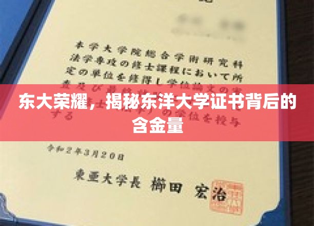 东洋学府证书魅力解析，东大荣耀背后的价值揭秘