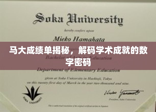 解码马大辉煌，揭秘学术成就的数字轨迹