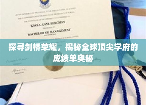 解码剑桥传奇，揭秘世界名校的卓越成就之路