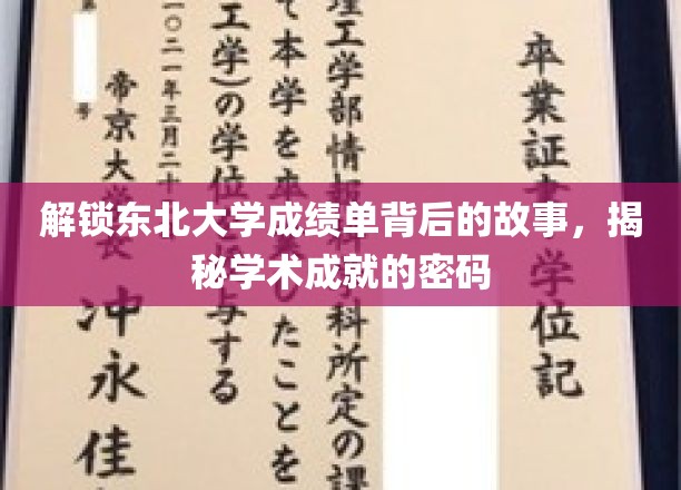 解锁东北大学成绩单背后的故事，揭示学术成就的奥秘