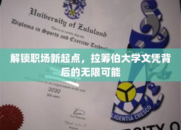 解锁职场新起点，拉筹伯大学文凭背后的无限可能