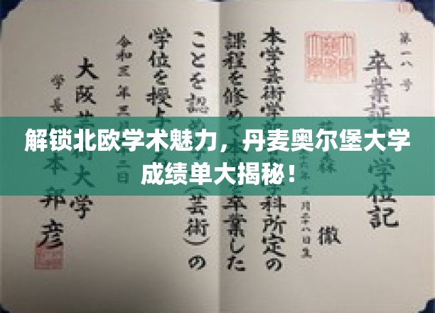 探秘丹麦奥尔堡大学，揭秘北欧学术瑰宝背后的成绩单奥秘