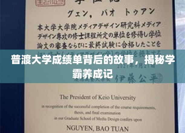 普渡学霸养成记，揭开成绩单背后的传奇之路