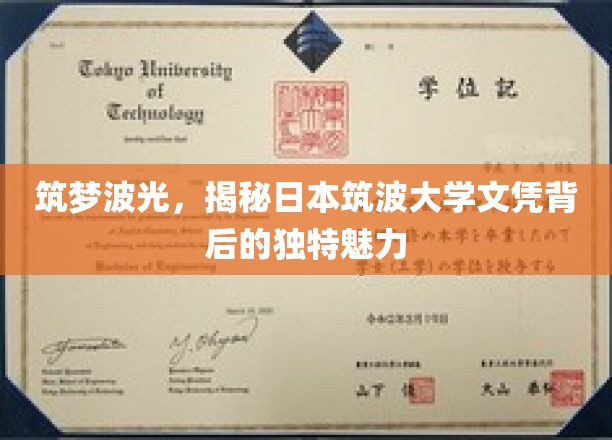 波光筑梦，探寻日本筑波大学文凭的非凡价值