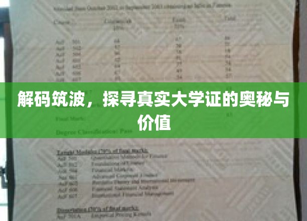 揭秘大学证背后的筑波传奇，价值与真相一探究竟