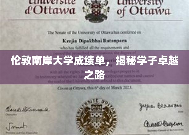 解码伦敦南岸大学学子卓越成就的秘密档案