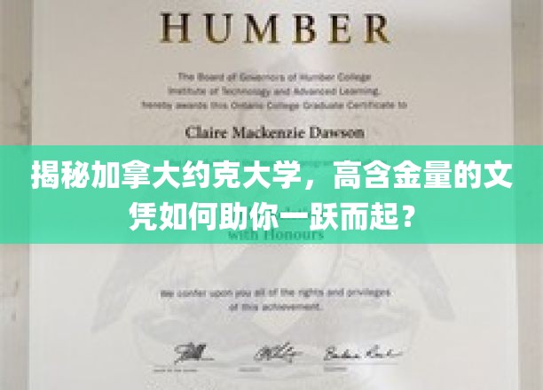 加拿大约克大学文凭，跃升职场新星的秘密武器
