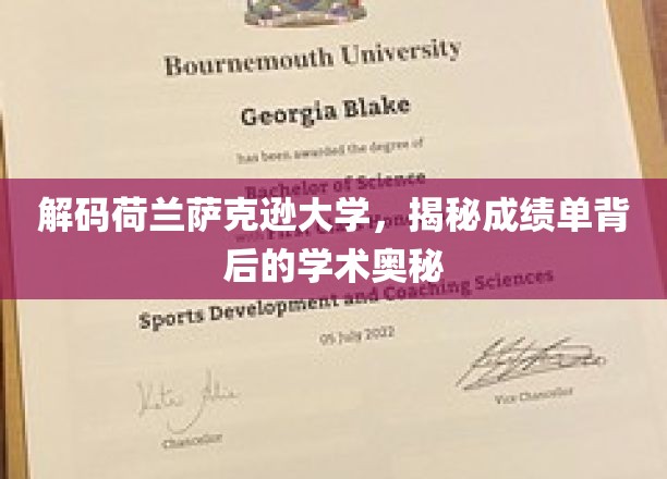 荷兰萨克逊大学揭秘，成绩单里的学术密码大揭秘