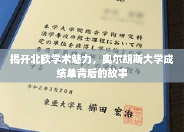 探寻奥尔胡斯大学，揭秘北欧教育精髓的学术足迹