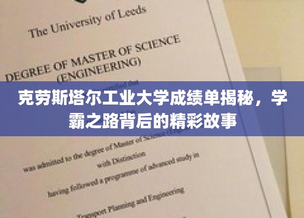 破解学霸奥秘，克劳斯塔尔工业大学学子成就背后的非凡历程
