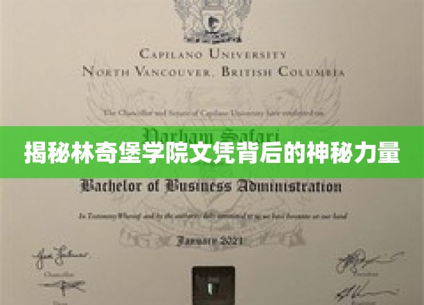 探寻林奇堡学院文凭的非凡魅力与深层价值