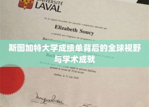 探索斯图加特大学成绩单，映射全球学术舞台的卓越成就