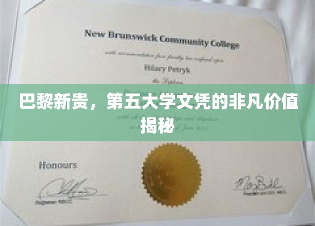 巴黎新贵，第五大学文凭的非凡价值揭秘
