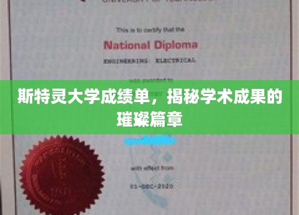 斯特灵大学成就展，探索学术辉煌背后的秘密宝藏
