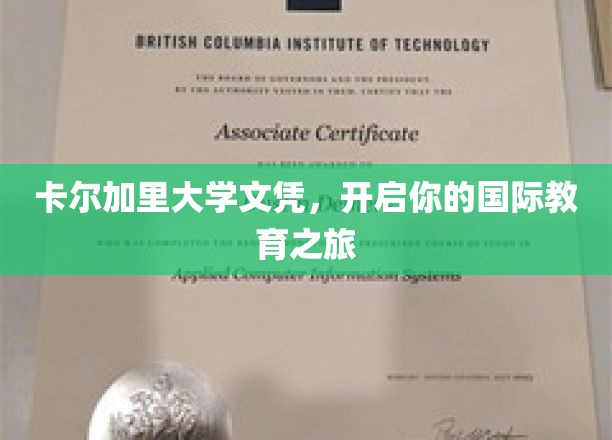 跨洋文凭，卡尔加里大学助力你的全球视野拓展
