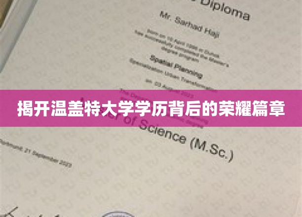 解码温盖特大学的璀璨学历传奇