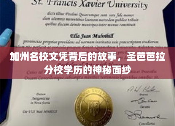 加州精英学府的文凭迷踪，一探圣芭芭拉分校学历的神秘光环