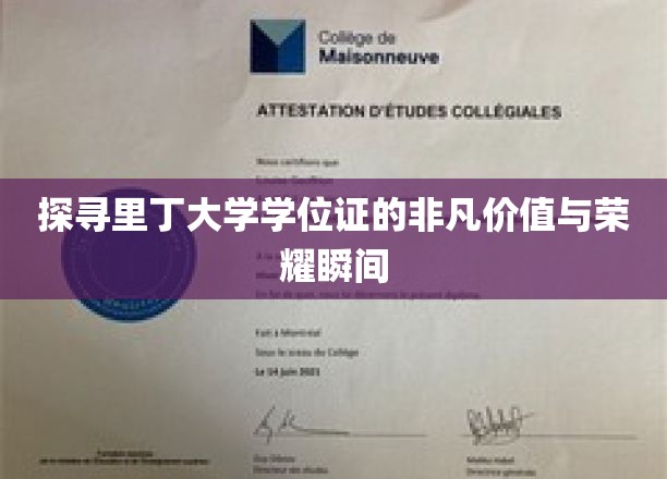 解码里丁荣耀，学位证书背后的非凡传奇与成就之光