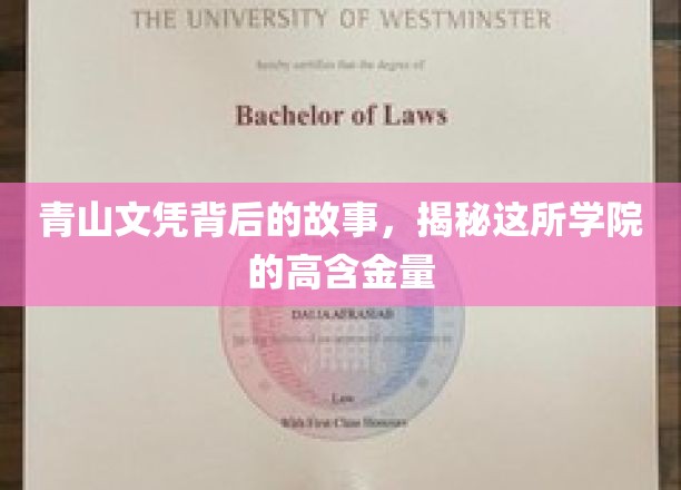 隐秘学府，青山文凭背后的传奇与学院不为人知的实力