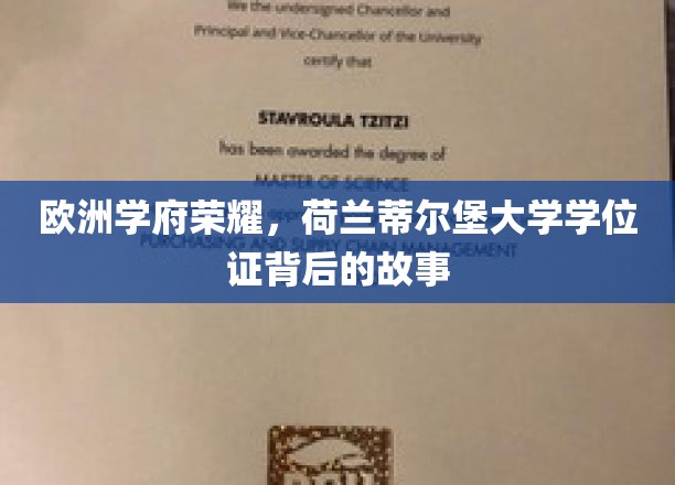探寻荷兰蒂尔堡大学学位证的传奇之旅