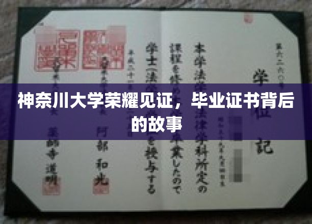 神奈川荣耀瞬间，揭秘毕业证书背后的不凡历程