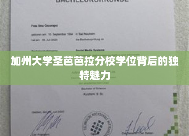 加州大学圣芭芭拉分校学位背后的独特魅力