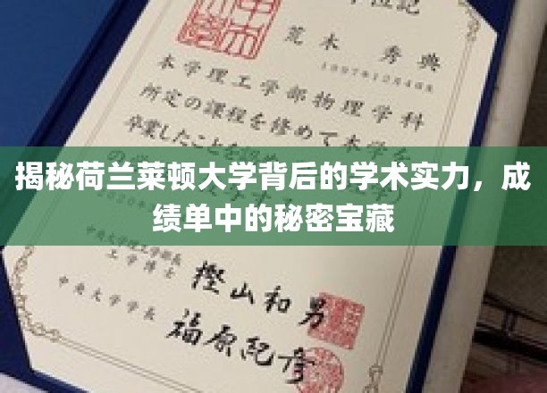荷兰莱顿大学，揭秘顶尖学术背后的神秘力量