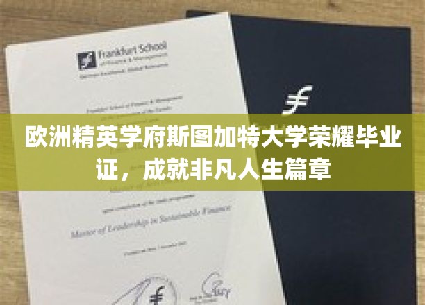 斯图加特大学荣耀毕业，开启非凡人生新篇章